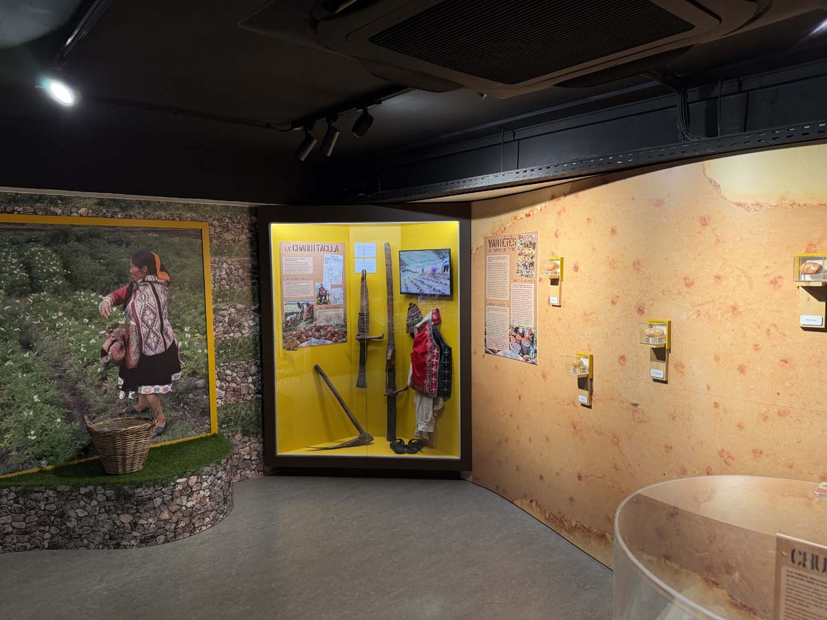 6607